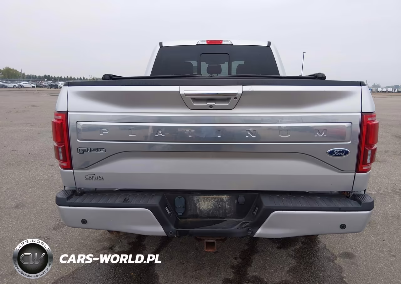 2015 Ford F-150 Platinum VIN:1FTFW1EG4FFC65059 - 17