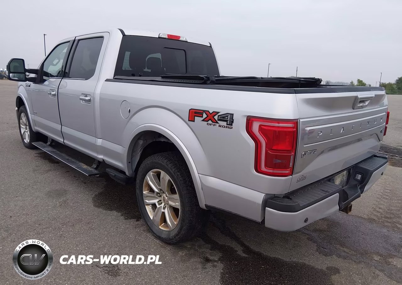 2015 Ford F-150 Platinum VIN:1FTFW1EG4FFC65059 - 3