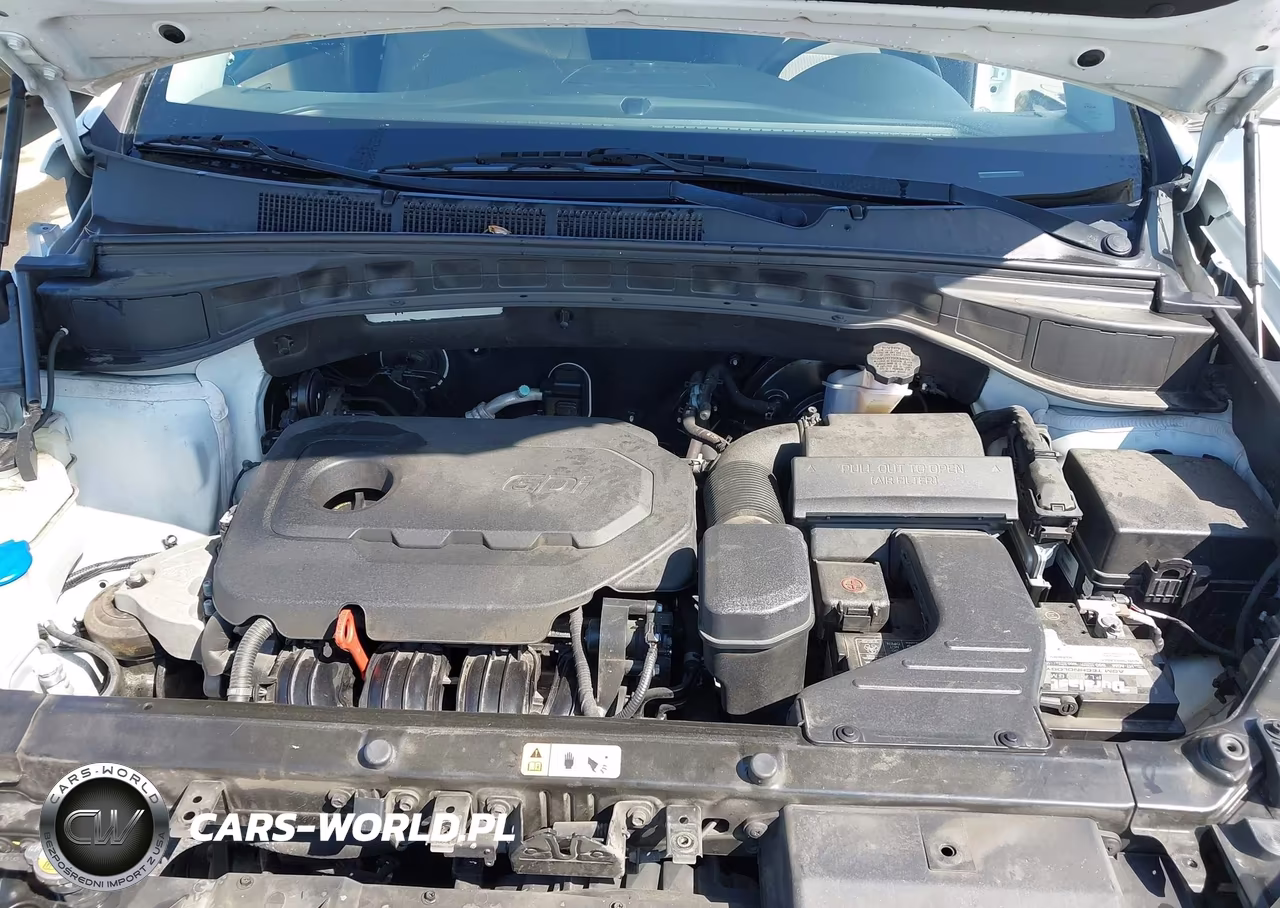 2018 Hyundai Santa Fe Deportivo 2.4L VIN:5NMZT3LB7JH065703 - 10