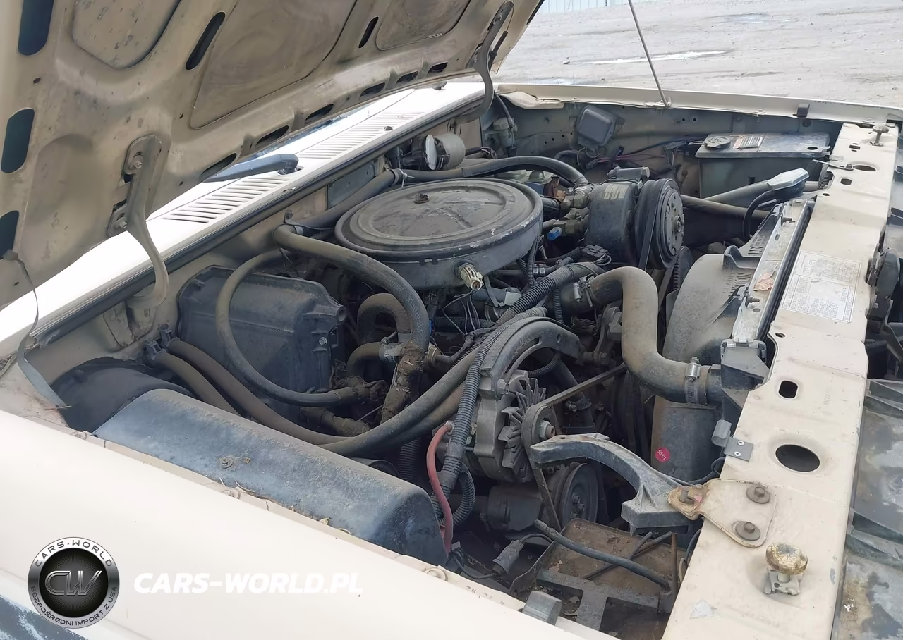 1985 Ford Bronco Ii VIN:1FMBU14S8FUC57323 - 13