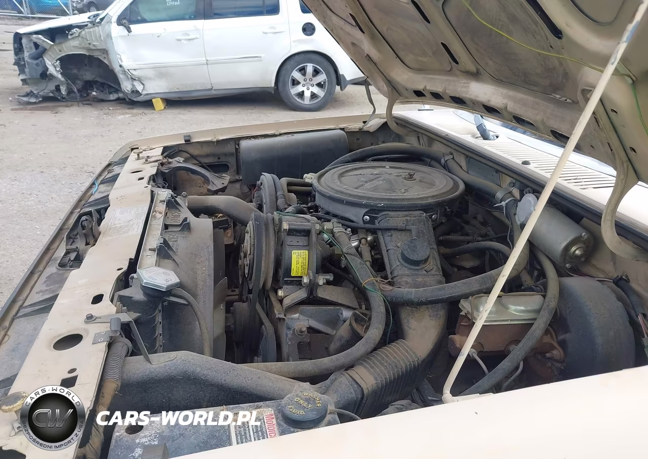 1985 Ford Bronco Ii VIN:1FMBU14S8FUC57323 - 14