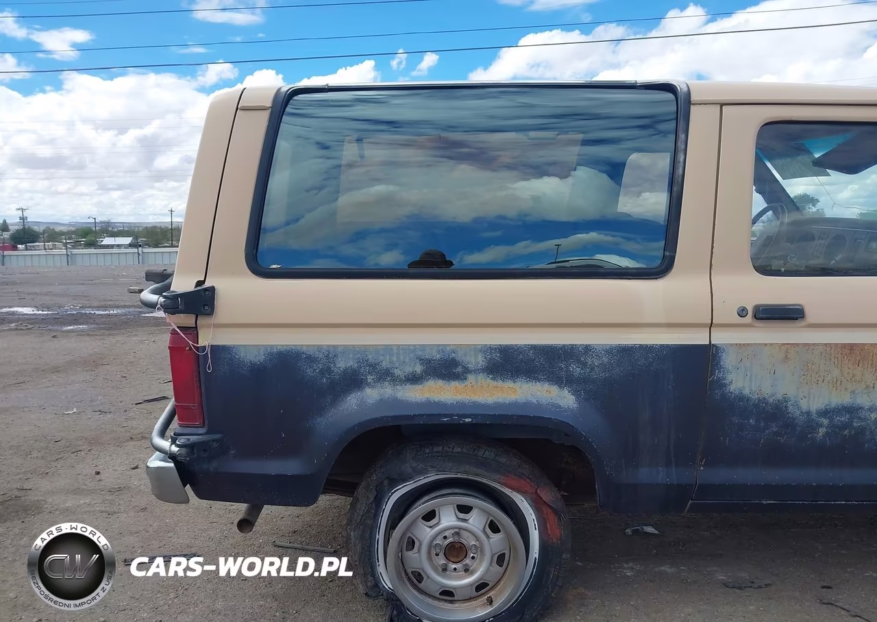 1985 Ford Bronco Ii VIN:1FMBU14S8FUC57323 - 17
