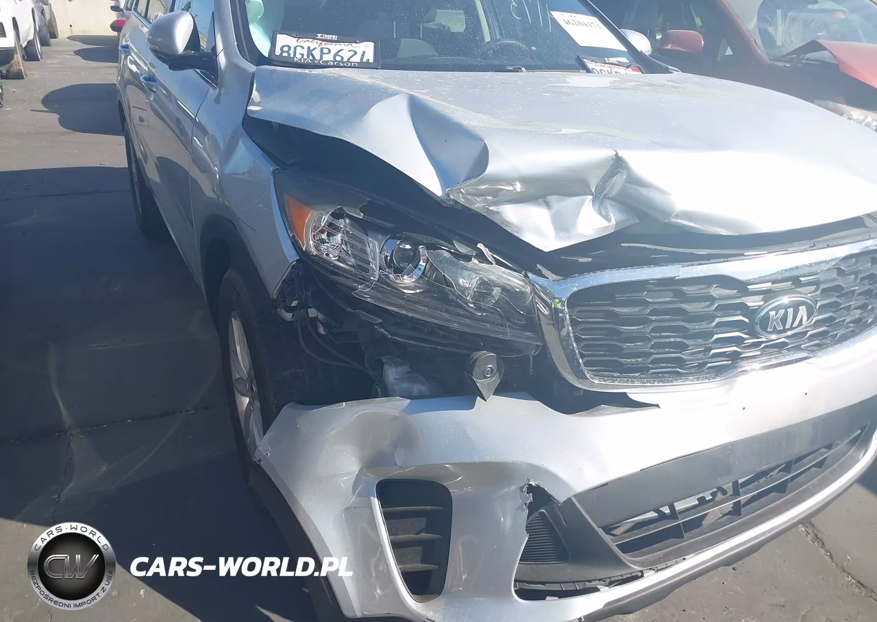 2019 Kia Sorento 3.3L Lx VIN:5XYPG4A54KG450825 - 6
