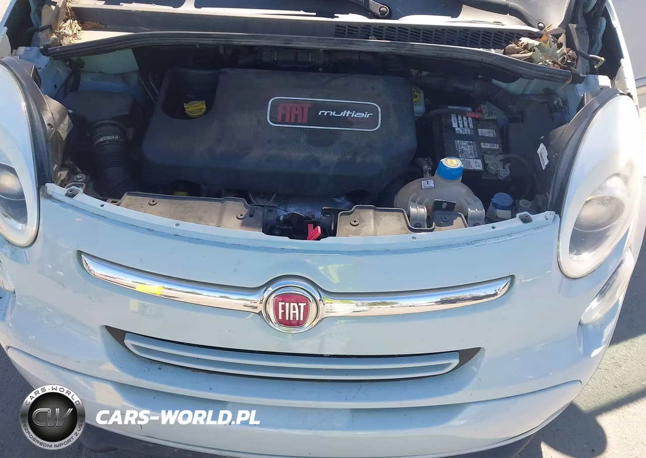 2014 Fiat 500L Lounge VIN:ZFBCFACH0EZ007698 - 10