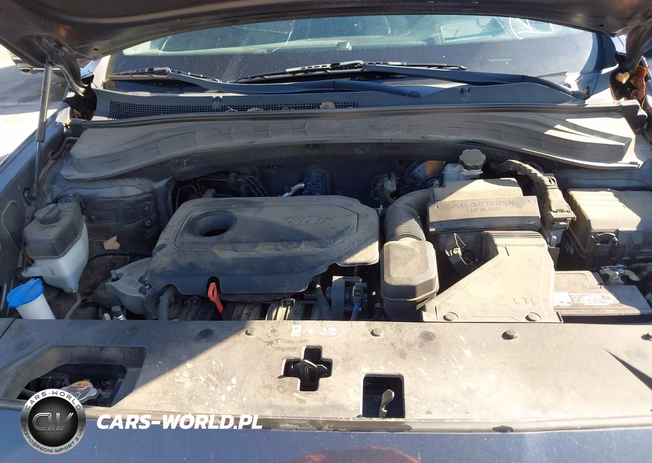 2020 Hyundai Santa Fe Limited VIN:5NMS53AD0LH199438 - 10