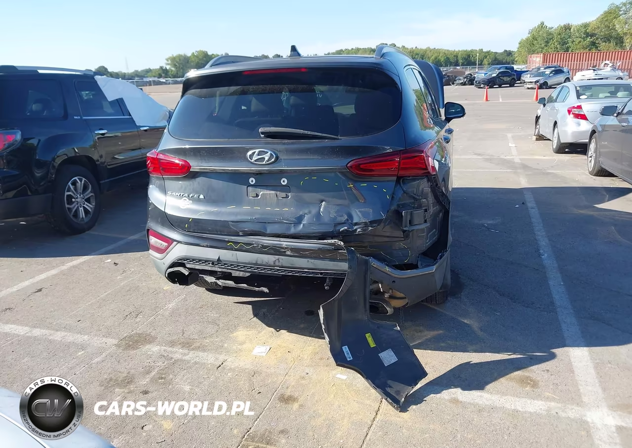 2020 Hyundai Santa Fe Limited VIN:5NMS53AD0LH199438 - 6