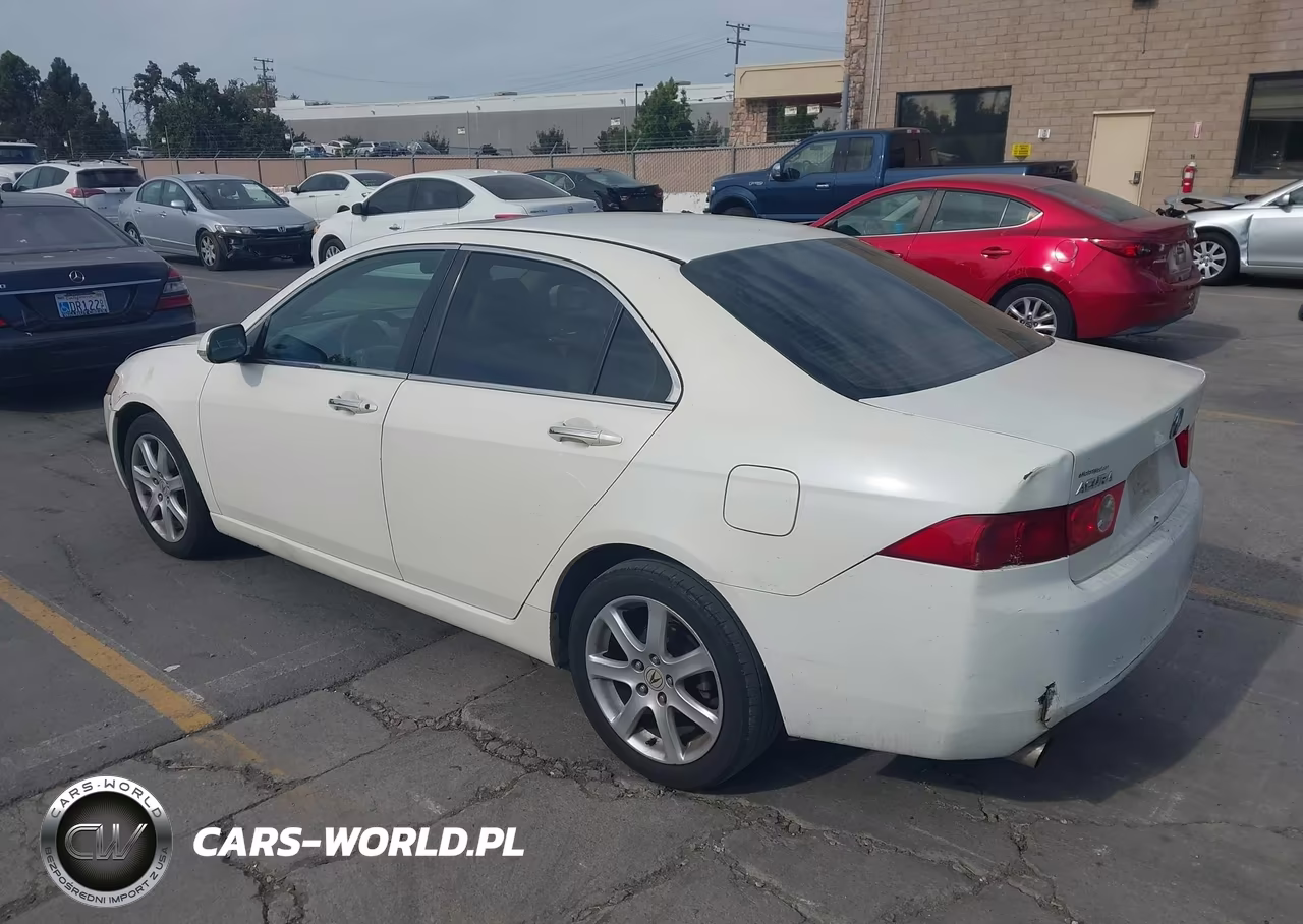 2004 Acura Tsx VIN:JH4CL968X4C031748 - 3