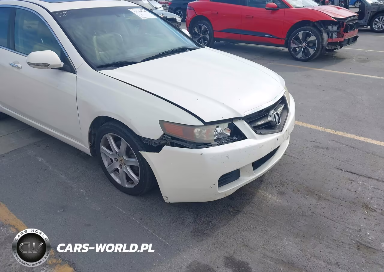 2004 Acura Tsx VIN:JH4CL968X4C031748 - 6