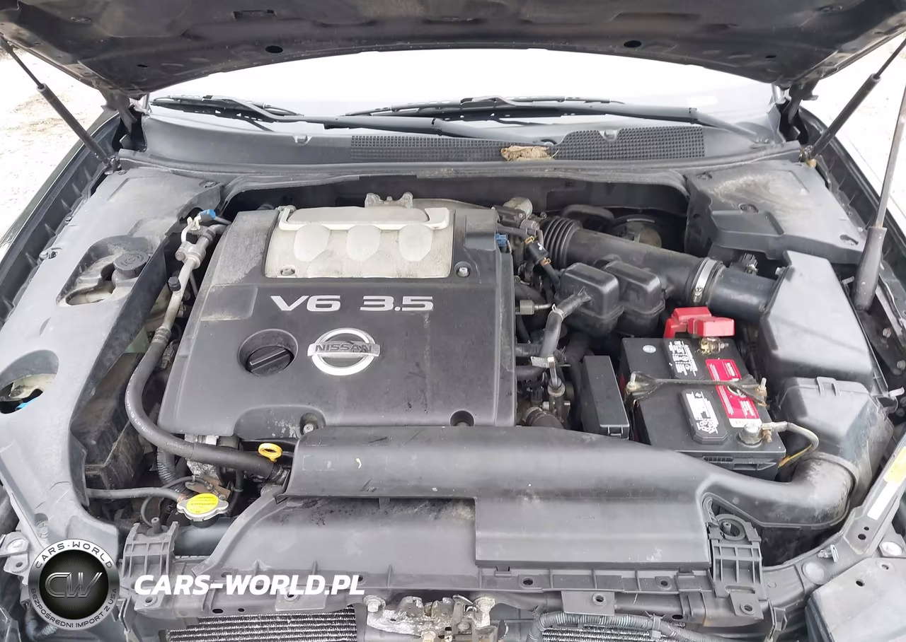 2004 Nissan Maxima 3.5 Sl VIN:1N4BA41E44C857570 - 10