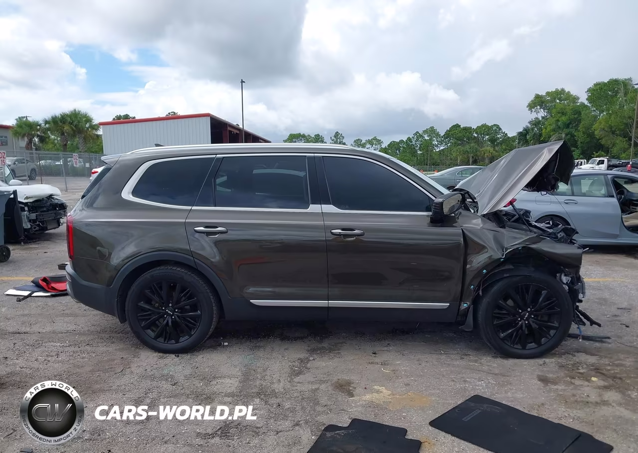 2022 Kia Telluride Sx VIN:5XYP54HC0NG317509 - 13