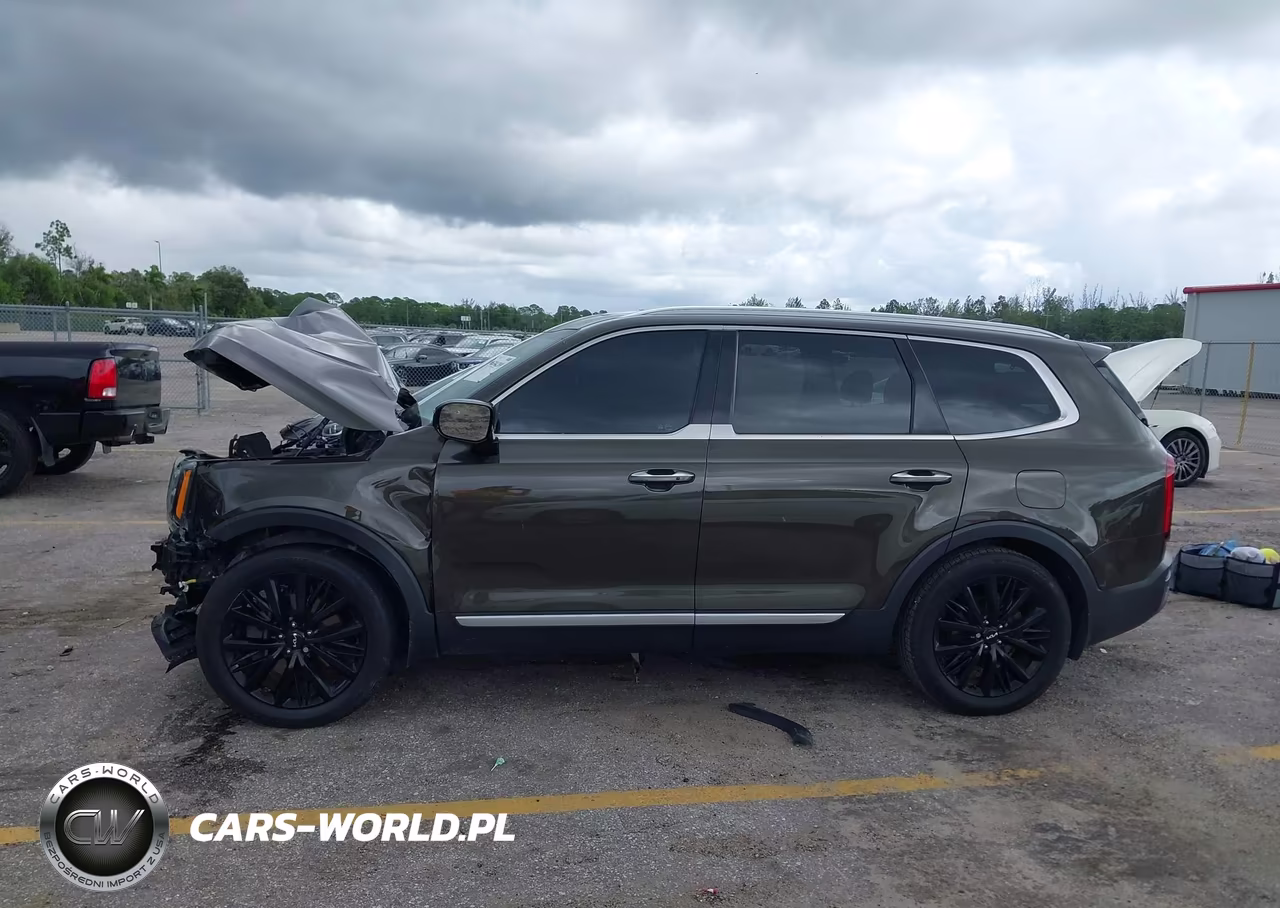 2022 Kia Telluride Sx VIN:5XYP54HC0NG317509 - 14