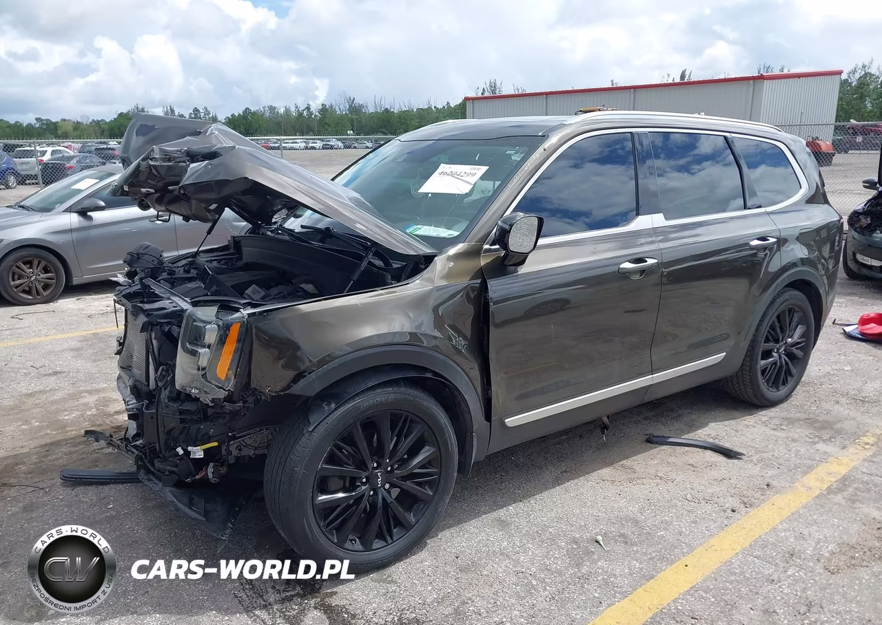 2022 Kia Telluride Sx VIN:5XYP54HC0NG317509 - 2