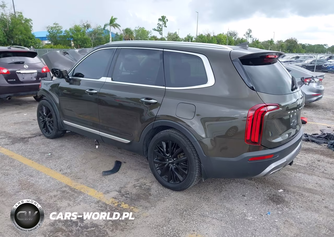 2022 Kia Telluride Sx VIN:5XYP54HC0NG317509 - 3