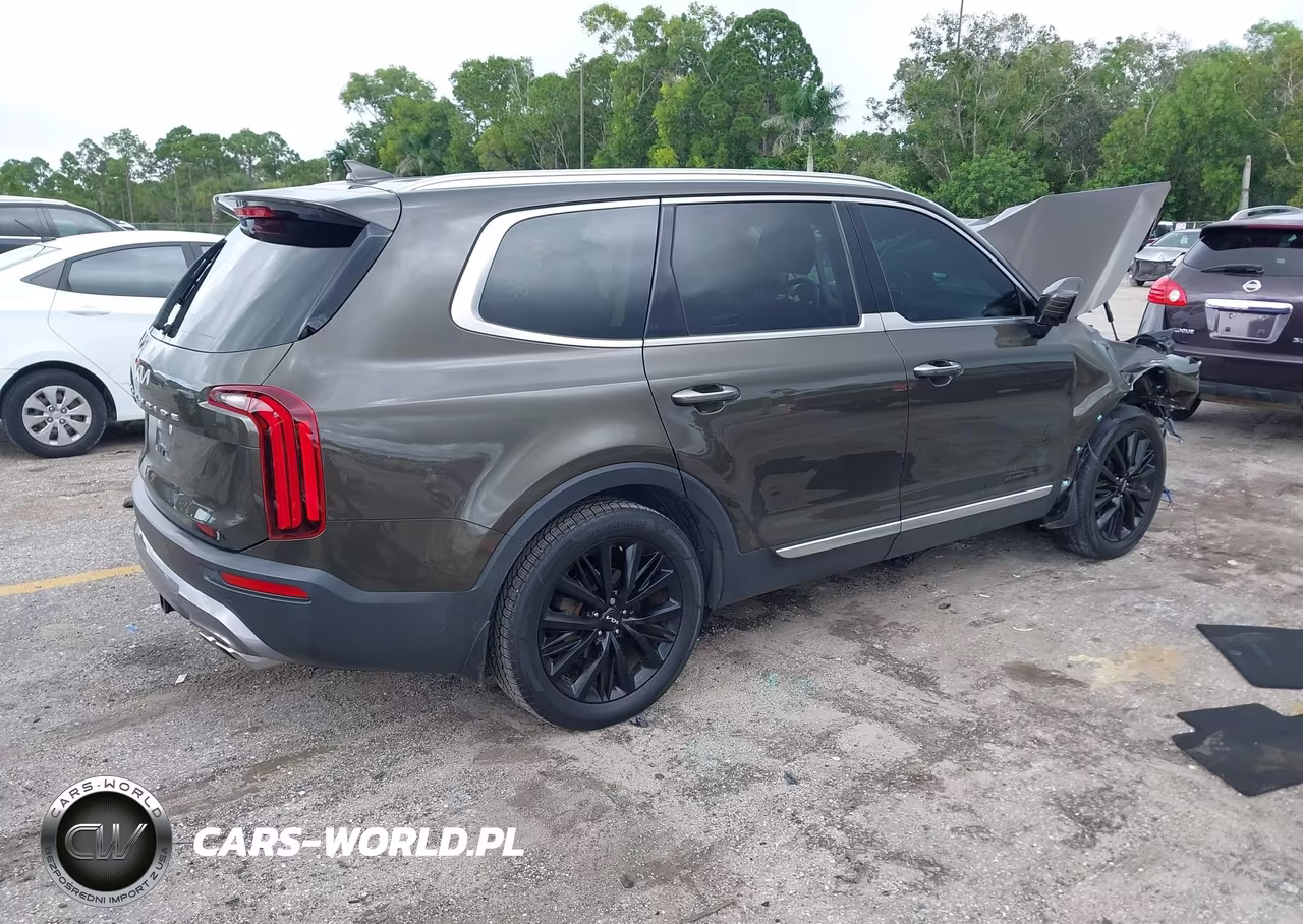 2022 Kia Telluride Sx VIN:5XYP54HC0NG317509 - 4