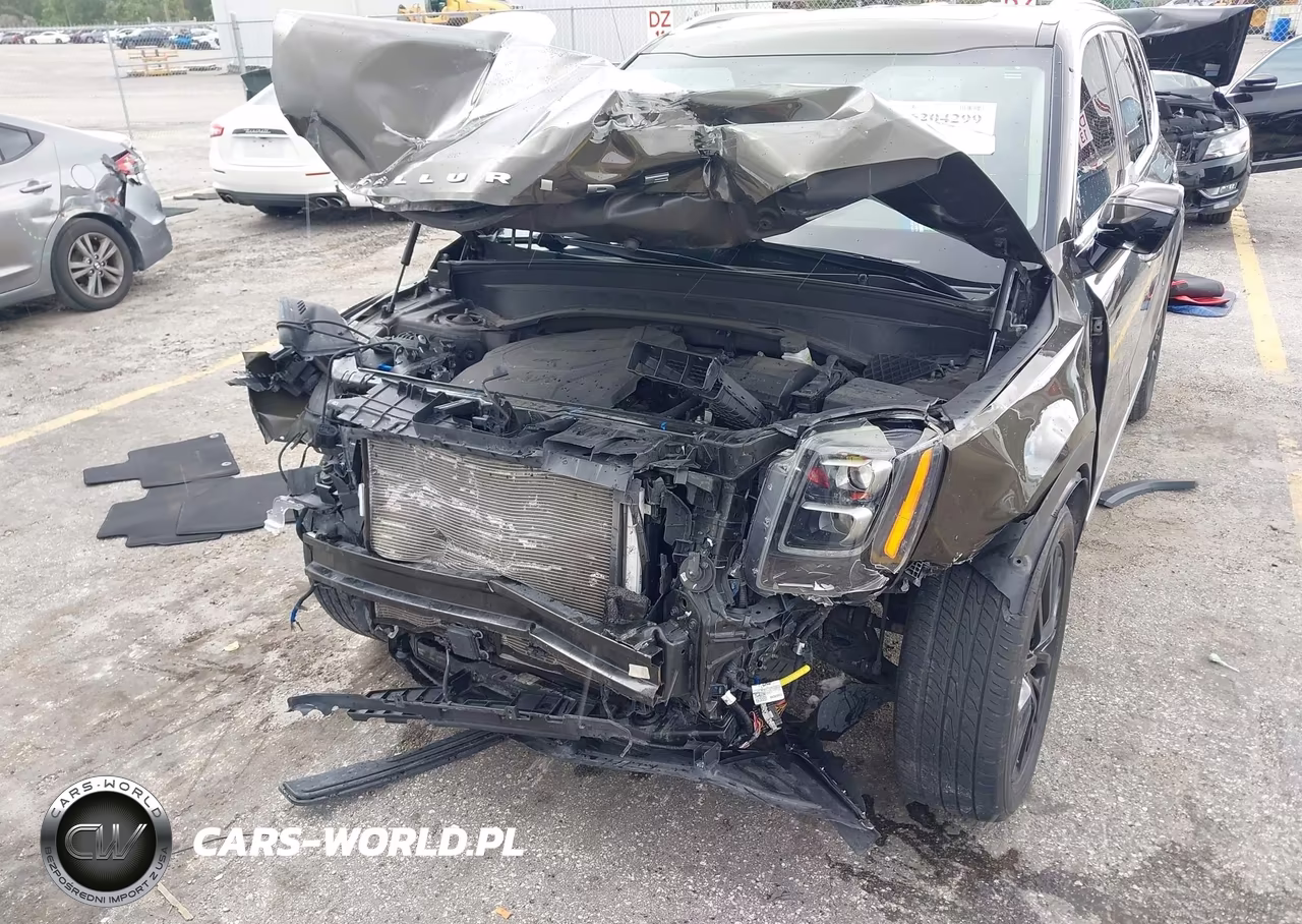 2022 Kia Telluride Sx VIN:5XYP54HC0NG317509 - 6