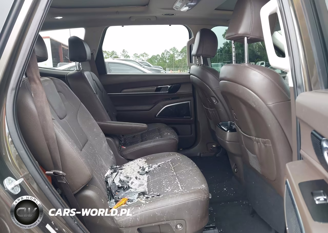 2022 Kia Telluride Sx VIN:5XYP54HC0NG317509 - 8
