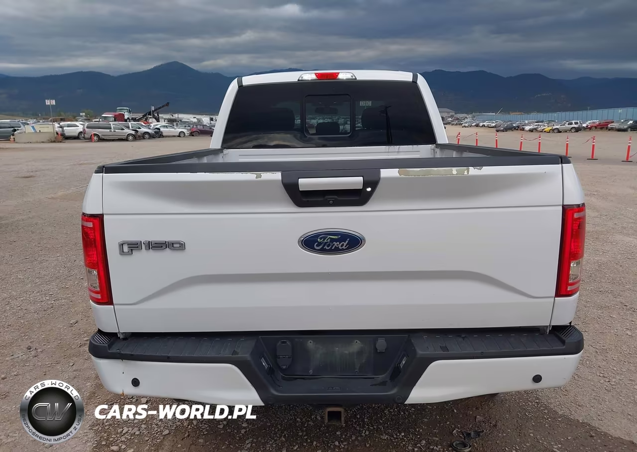 2017 Ford F-150 Xlt VIN:1FTFW1EF8HKD83620 - 16