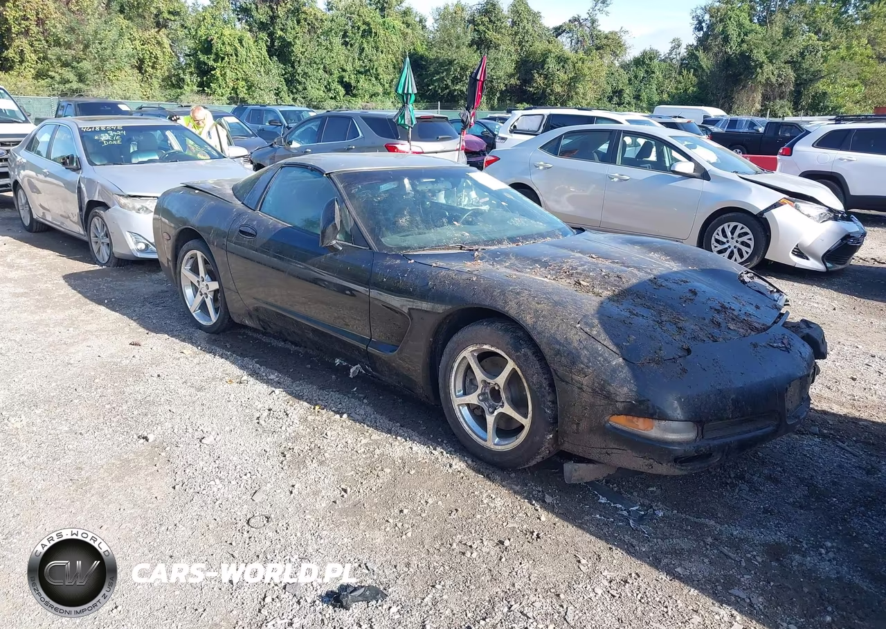 2004 Chevrolet Corvette VIN:1G1YY22G945129406 - 1