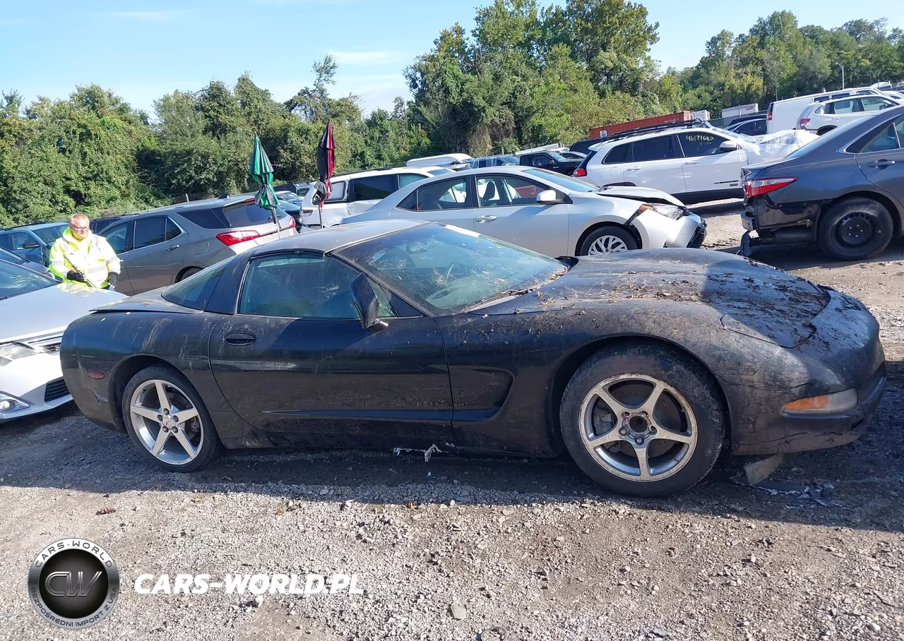 2004 Chevrolet Corvette VIN:1G1YY22G945129406 - 14