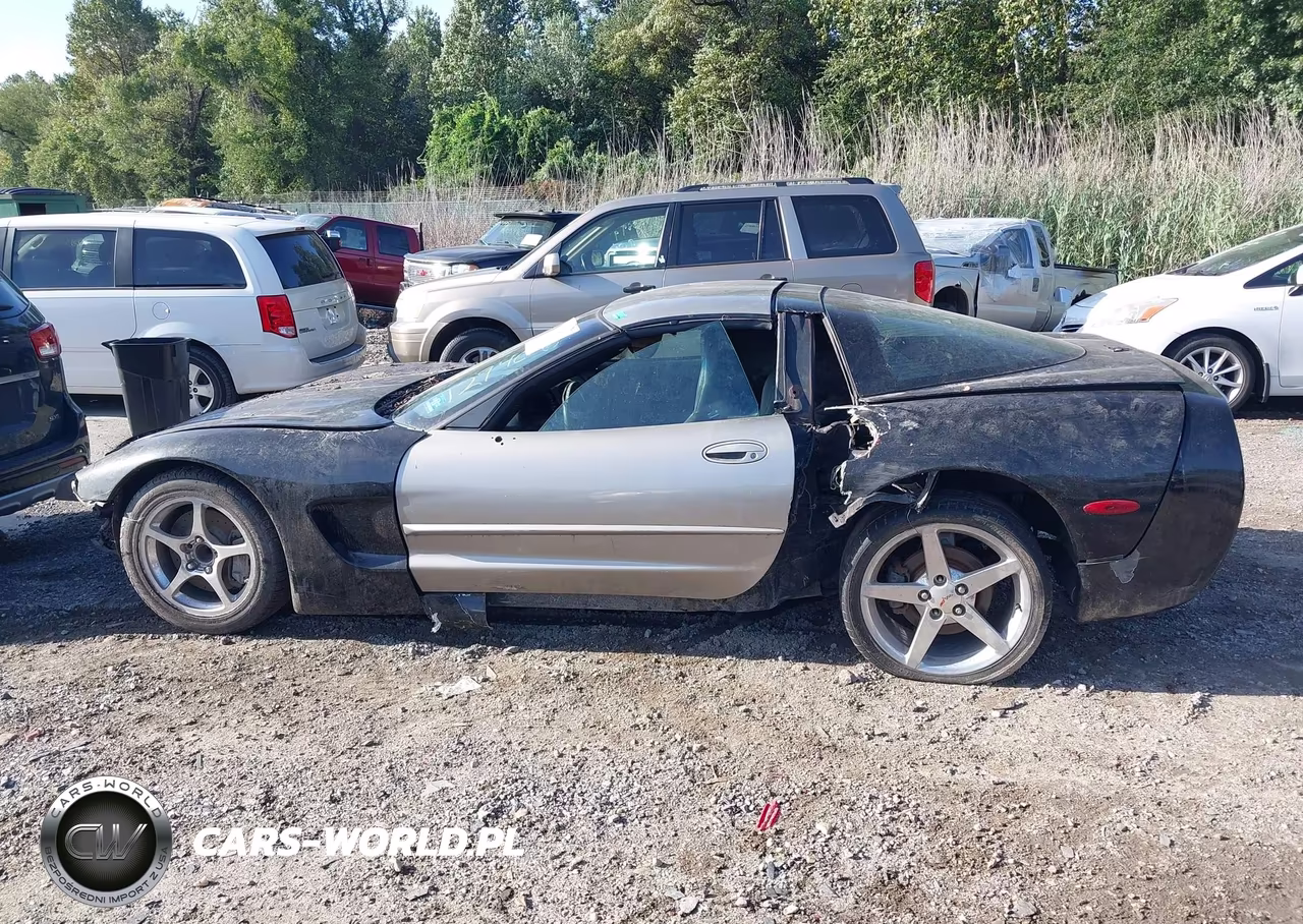 2004 Chevrolet Corvette VIN:1G1YY22G945129406 - 15
