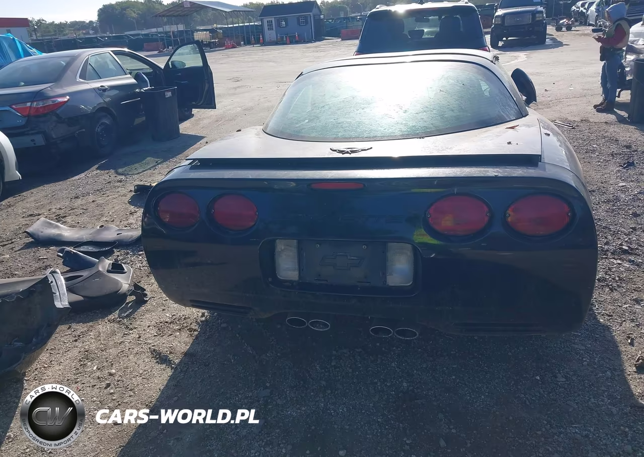 2004 Chevrolet Corvette VIN:1G1YY22G945129406 - 17