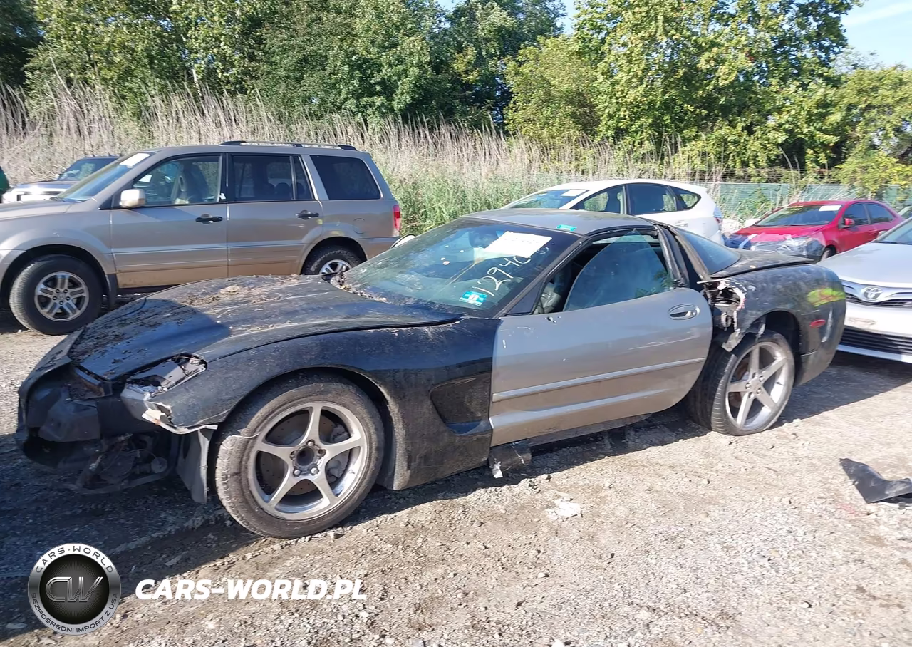2004 Chevrolet Corvette VIN:1G1YY22G945129406 - 2