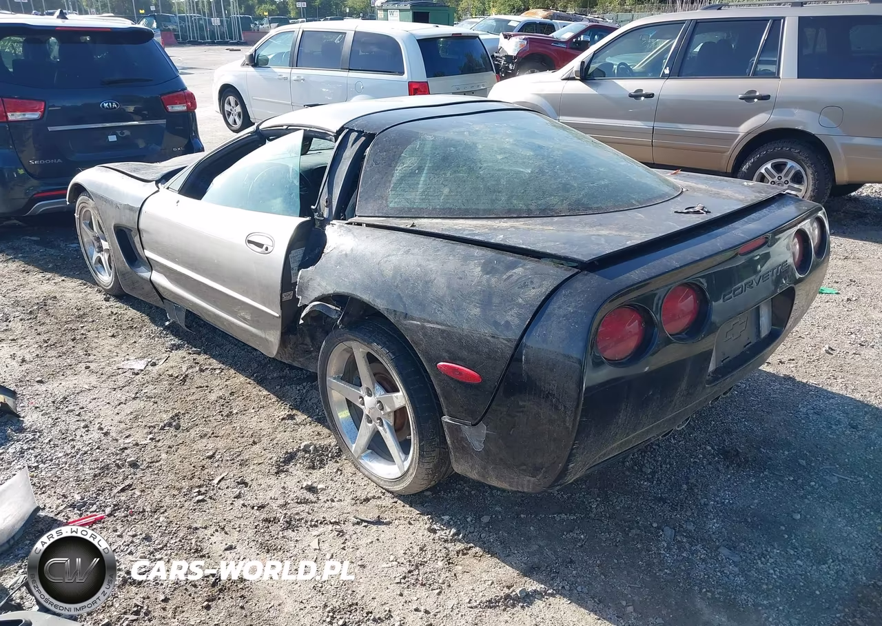 2004 Chevrolet Corvette VIN:1G1YY22G945129406 - 3