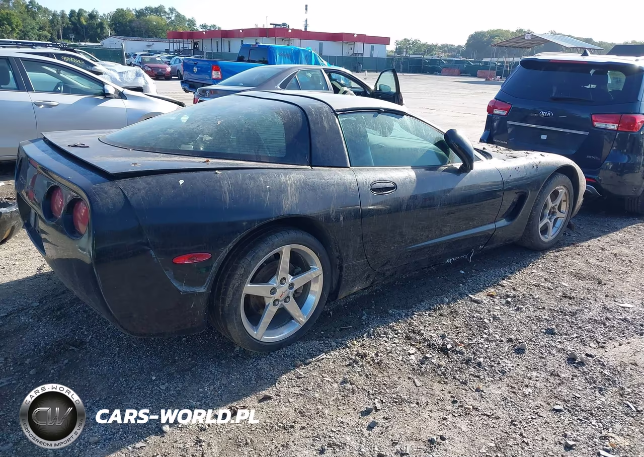 2004 Chevrolet Corvette VIN:1G1YY22G945129406 - 4