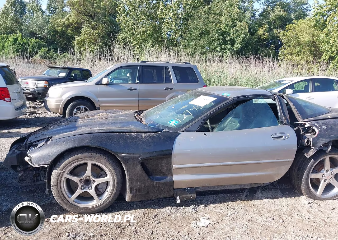 2004 Chevrolet Corvette VIN:1G1YY22G945129406 - 6