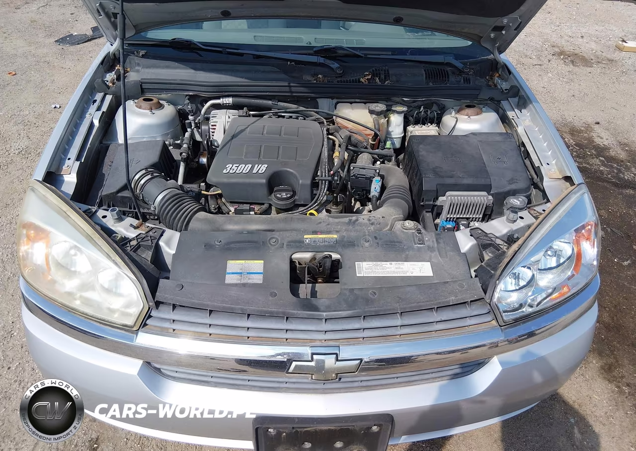 2005 Chevrolet Malibu Maxx Ls VIN:1G1ZT62875F307697 - 10