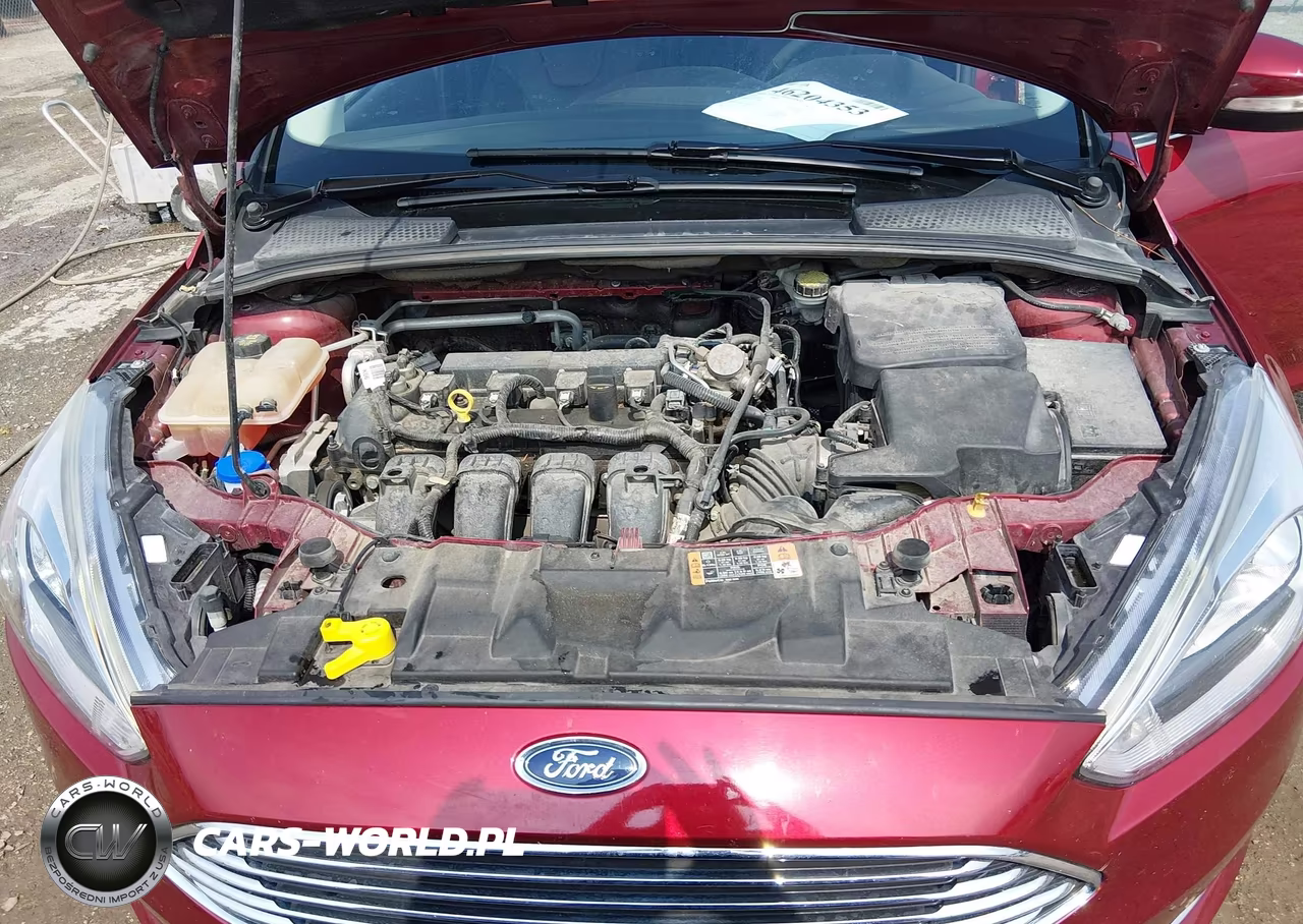 2016 Ford Focus Titanium VIN:1FADP3N25GL319126 - 10