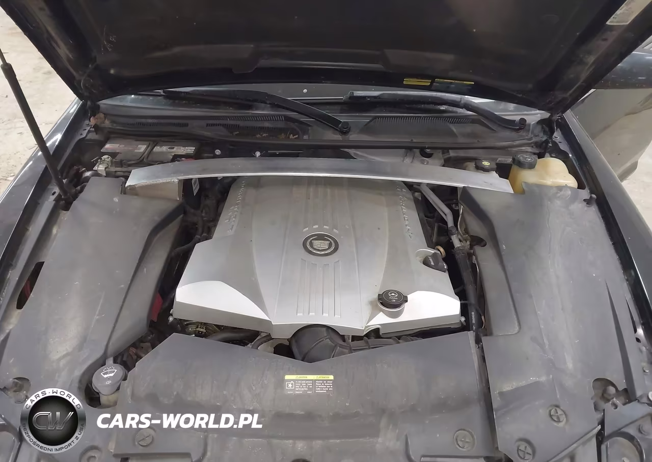 2009 Cadillac Sts V8 VIN:1G6DL67A990147380 - 10