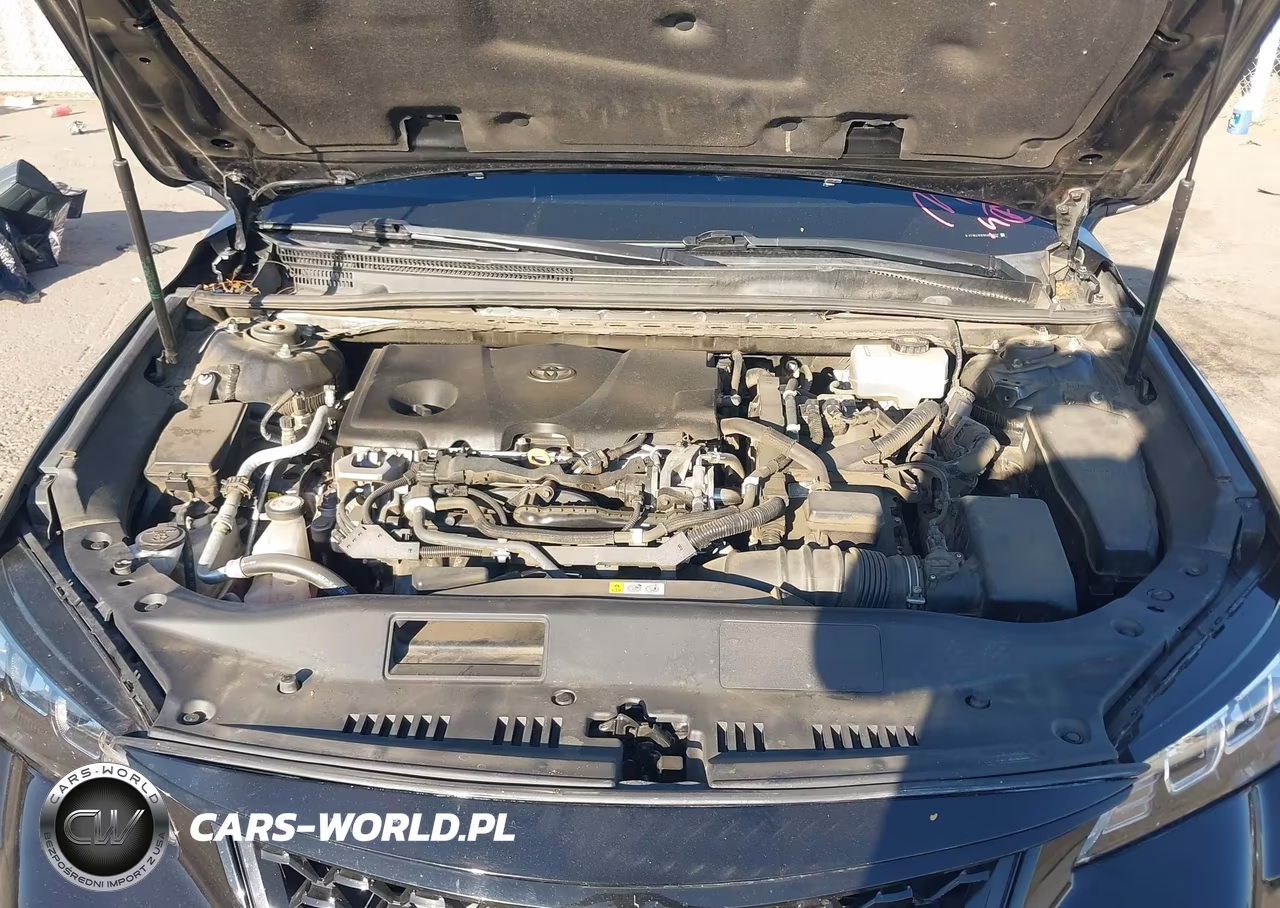2019 Toyota Avalon Hybrid Xse VIN:4T1B21FB3KU010627 - 10