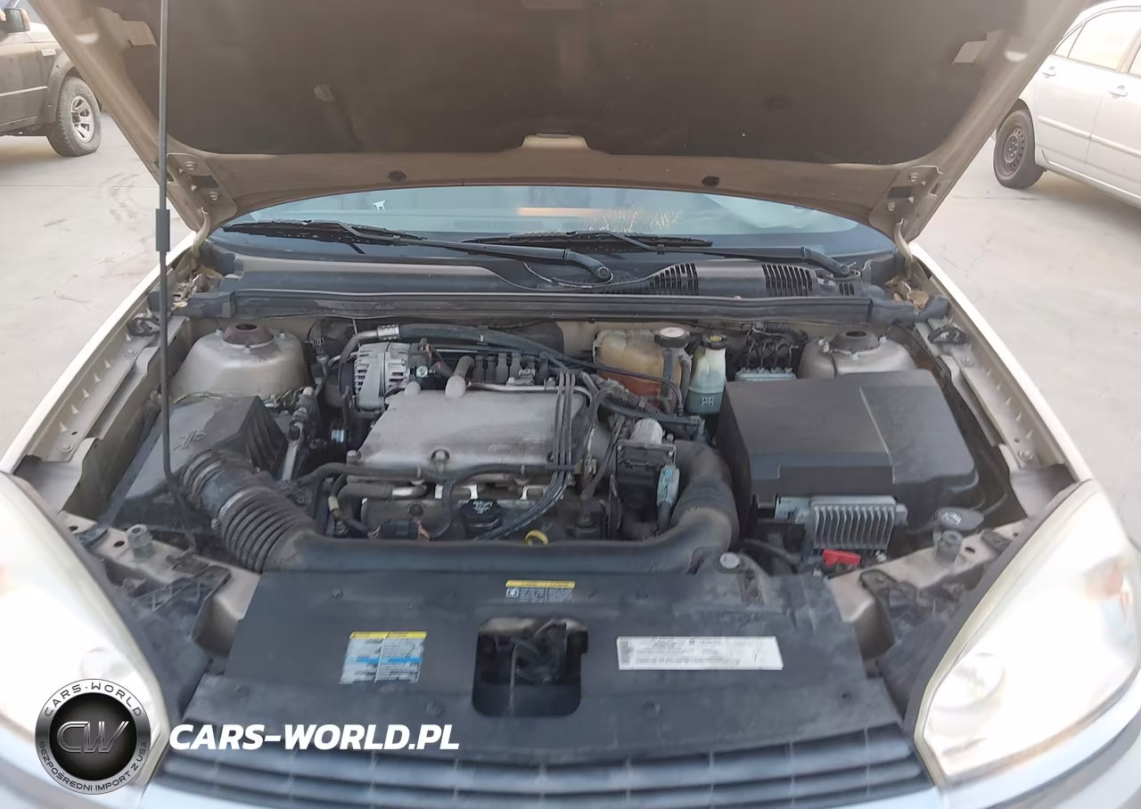 2004 Chevrolet Malibu Maxx Lt VIN:1G1ZU64824F195075 - 10