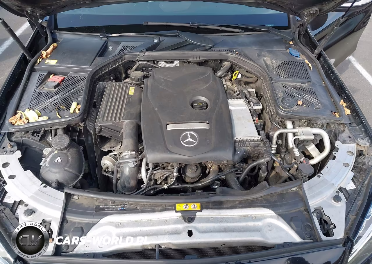 2015 Mercedes-Benz C 300 4Matic VIN:55SWF4KB8FU065718 - 10