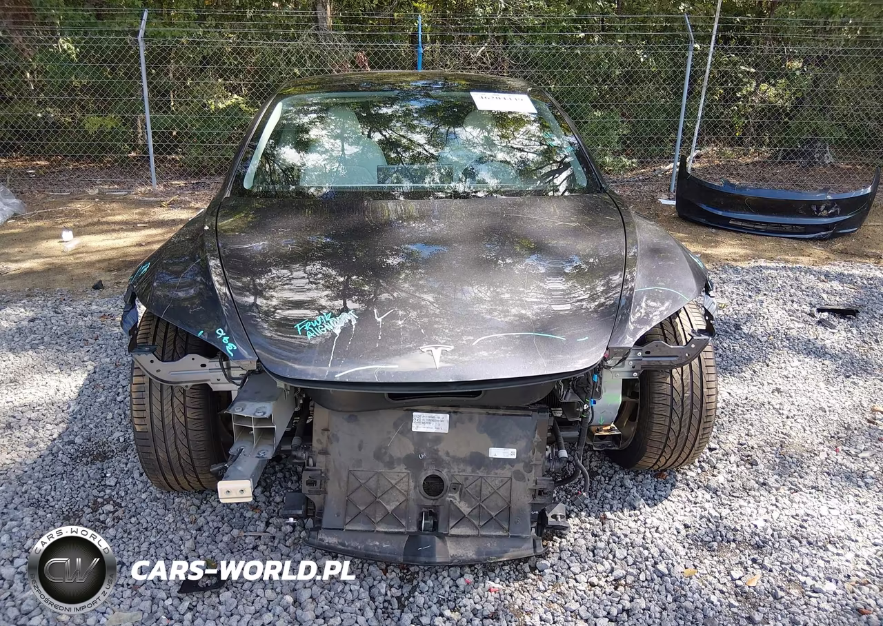 2025 Tesla Model 3 Long Range Rear-Wheel Drive-Standard Rear-Wheel Drive VIN:5YJ3E1EA1SF984625 - 12