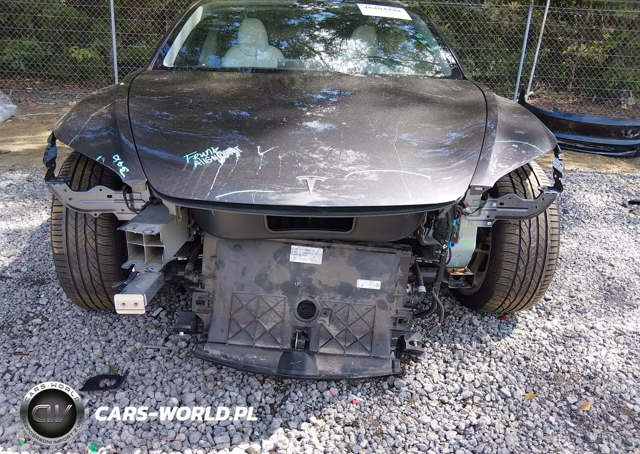 2025 Tesla Model 3 Long Range Rear-Wheel Drive-Standard Rear-Wheel Drive VIN:5YJ3E1EA1SF984625 - 6