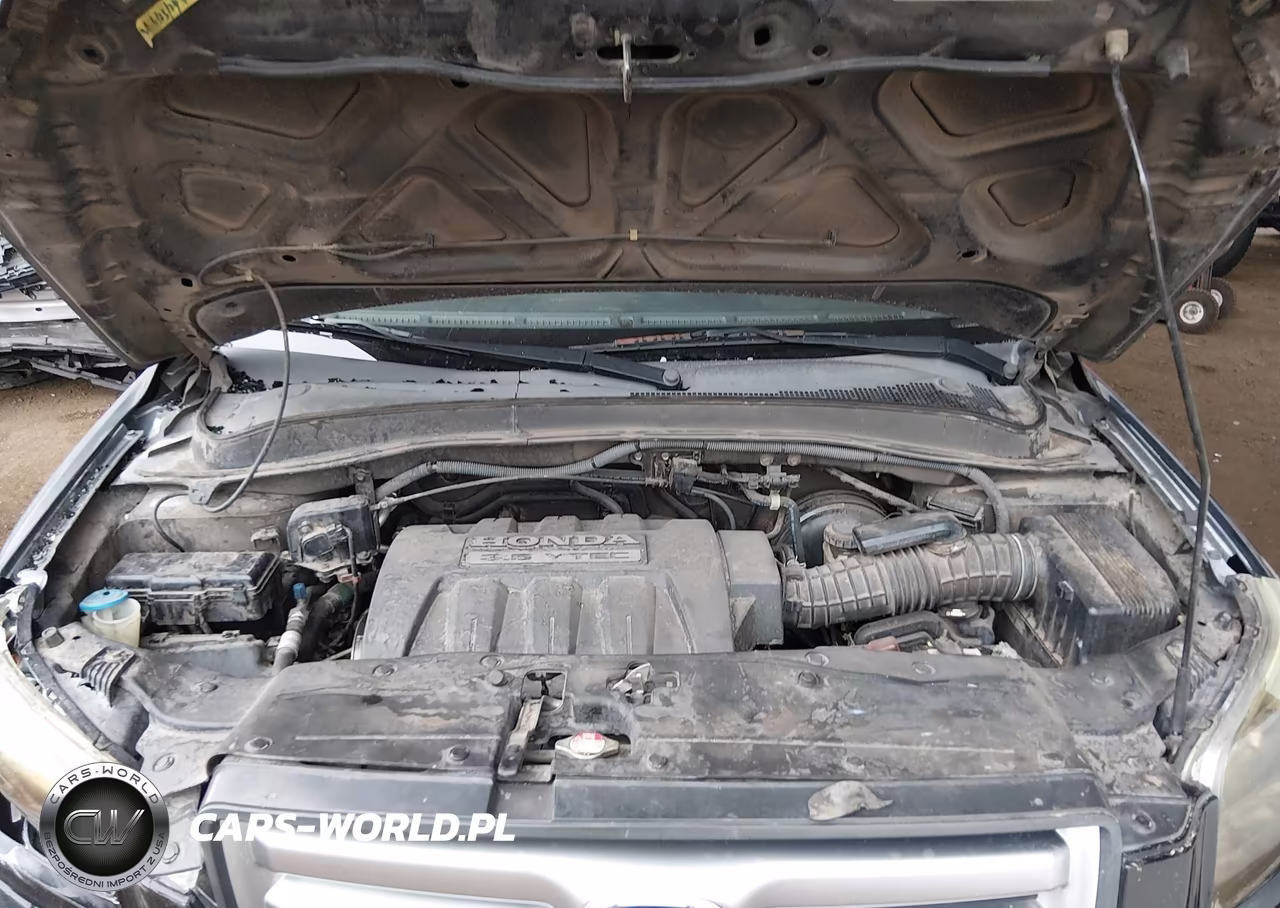 2006 Honda Pilot Ex VIN:2HKYF18416H512487 - 10