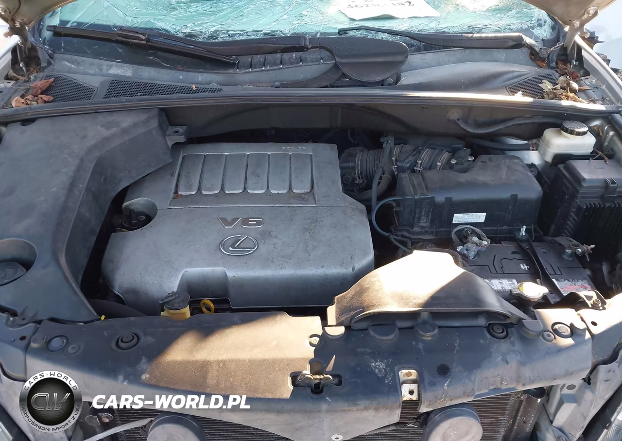 2008 Lexus Rx 350 VIN:2T2GK31U48C040090 - 10