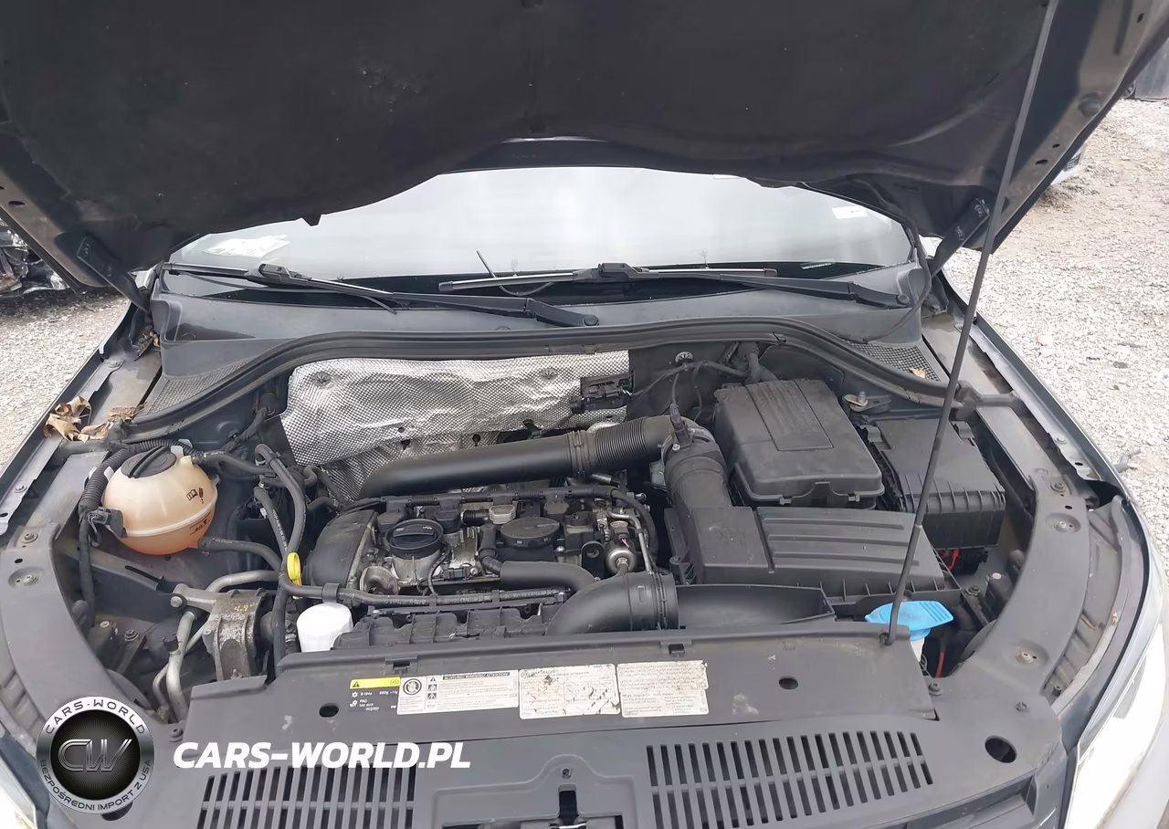 2016 Volkswagen Tiguan S VIN:WVGBV7AX2GW604540 - 10