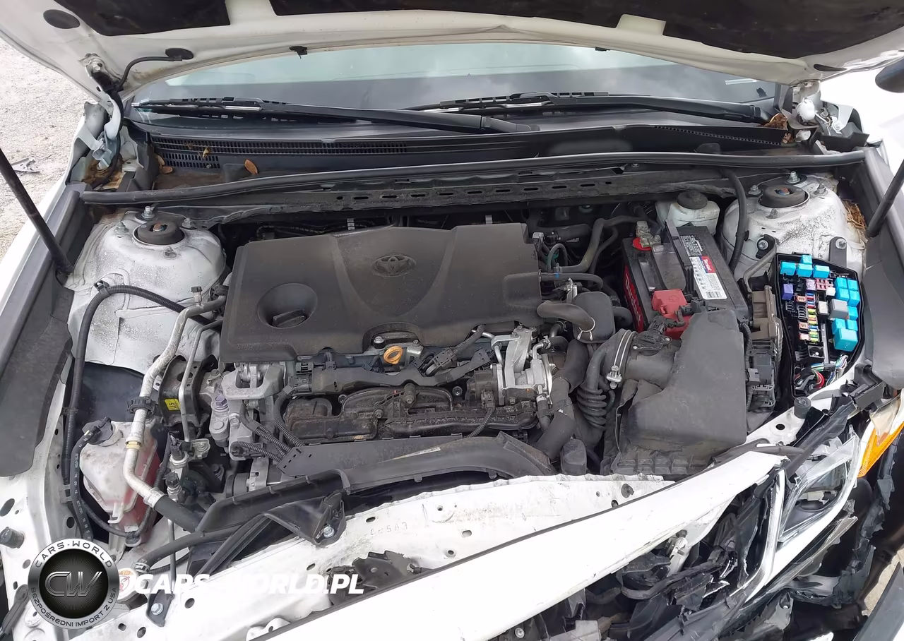 2019 Toyota Camry Se VIN:4T1B11HK8KU739495 - 10