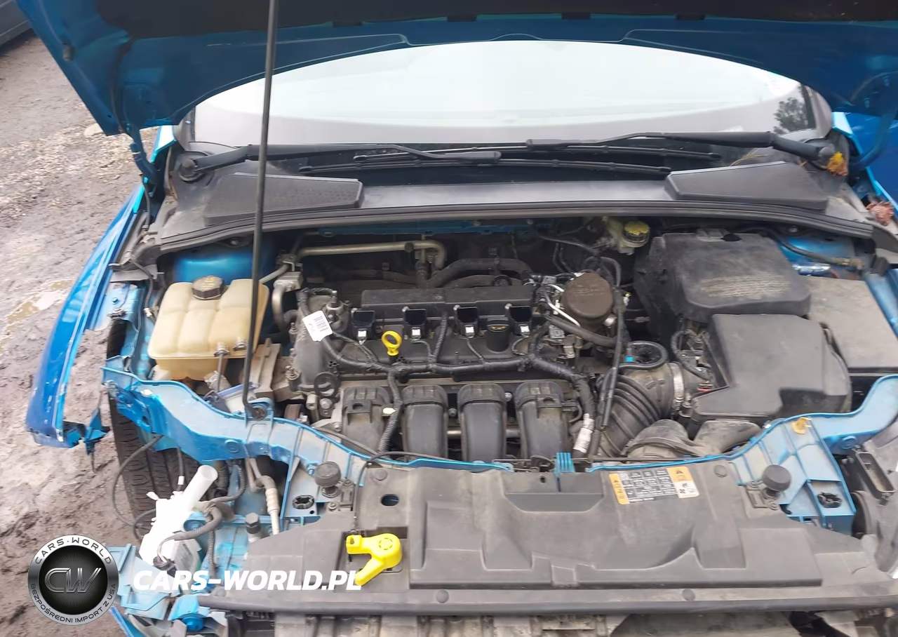2015 Ford Focus Se VIN:1FADP3K2XFL318007 - 10