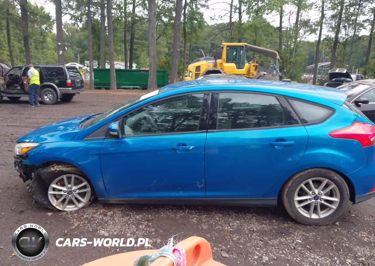 2015 Ford Focus Se VIN:1FADP3K2XFL318007 - 15