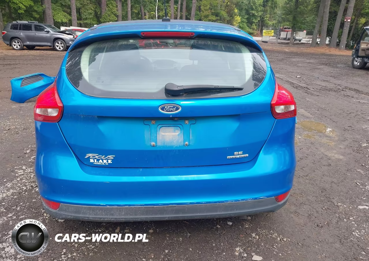 2015 Ford Focus Se VIN:1FADP3K2XFL318007 - 17