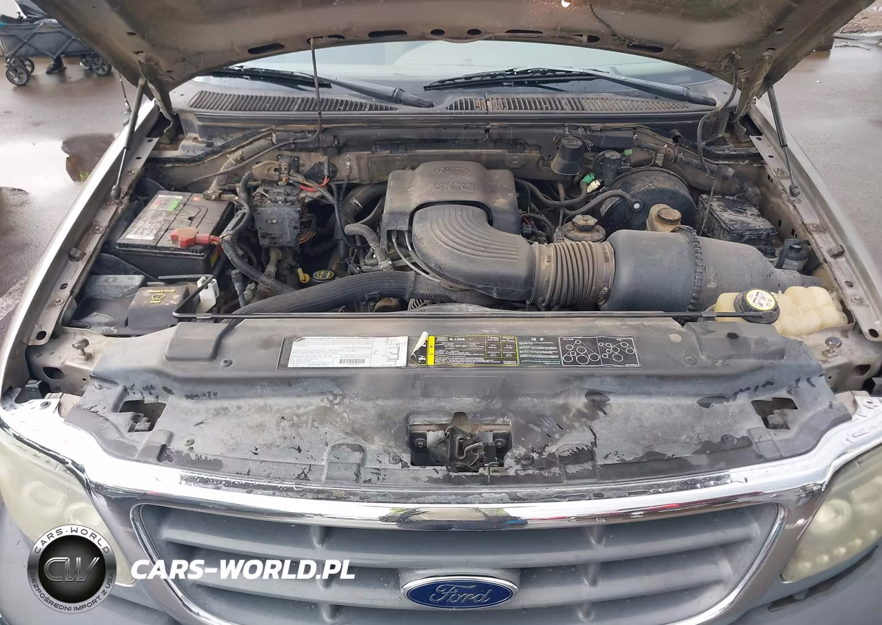 2003 Ford F-150 Lariat-Xl-Xlt VIN:1FTRX17W33NA44553 - 10