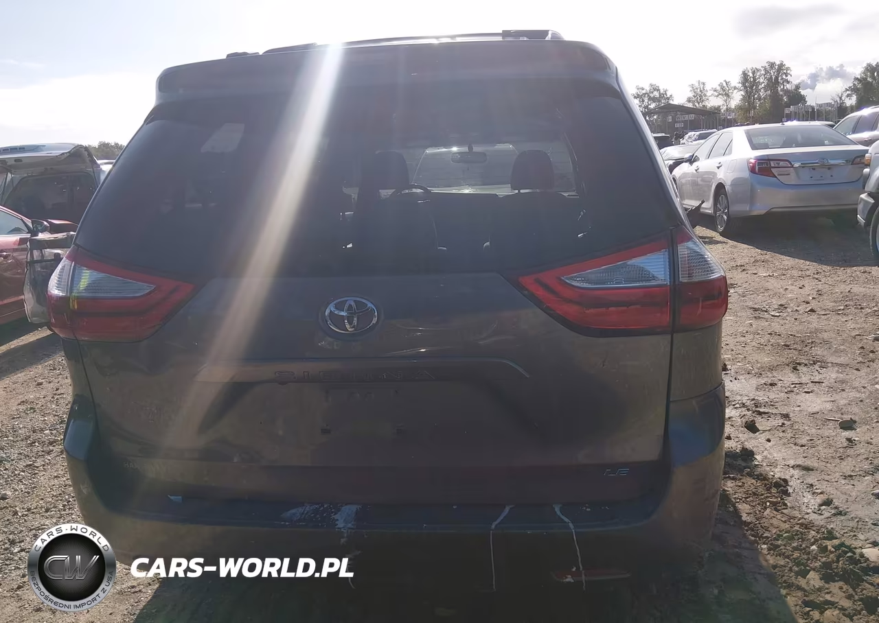 2016 Toyota Sienna Le VIN:5TDKK3DC3GS744529 - 18