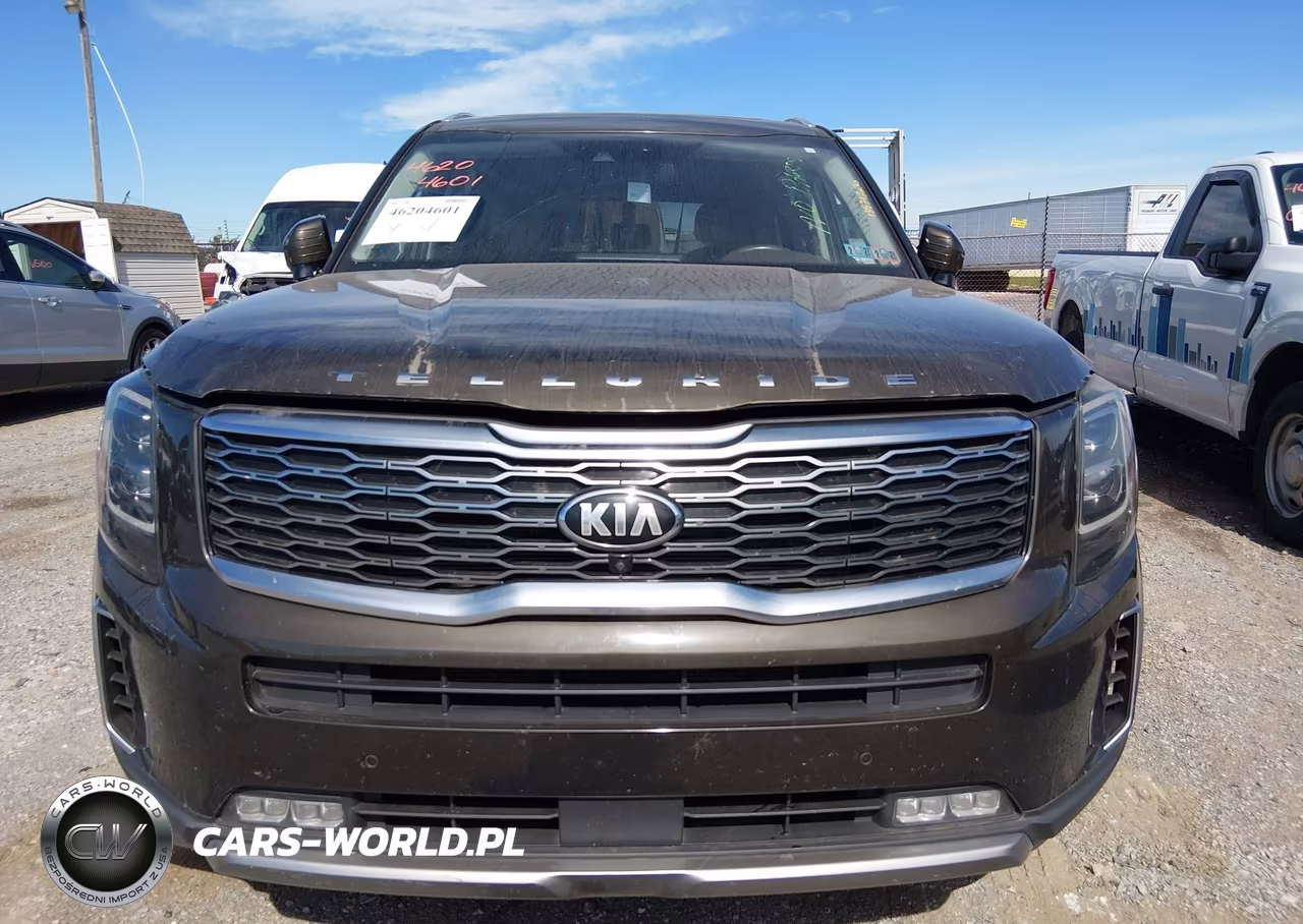 2020 Kia Telluride Sx VIN:5XYP5DHC7LG010948 - 12