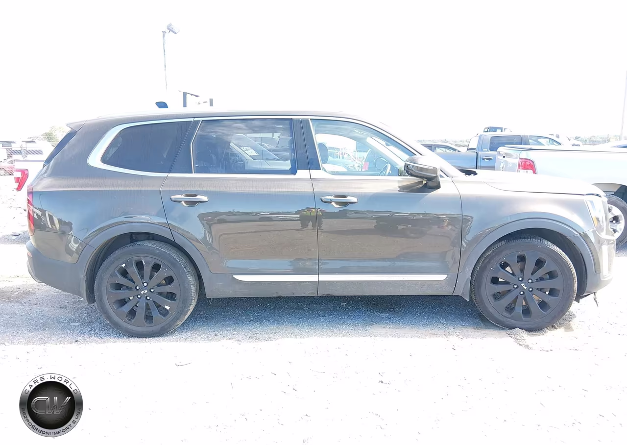 2020 Kia Telluride Sx VIN:5XYP5DHC7LG010948 - 13