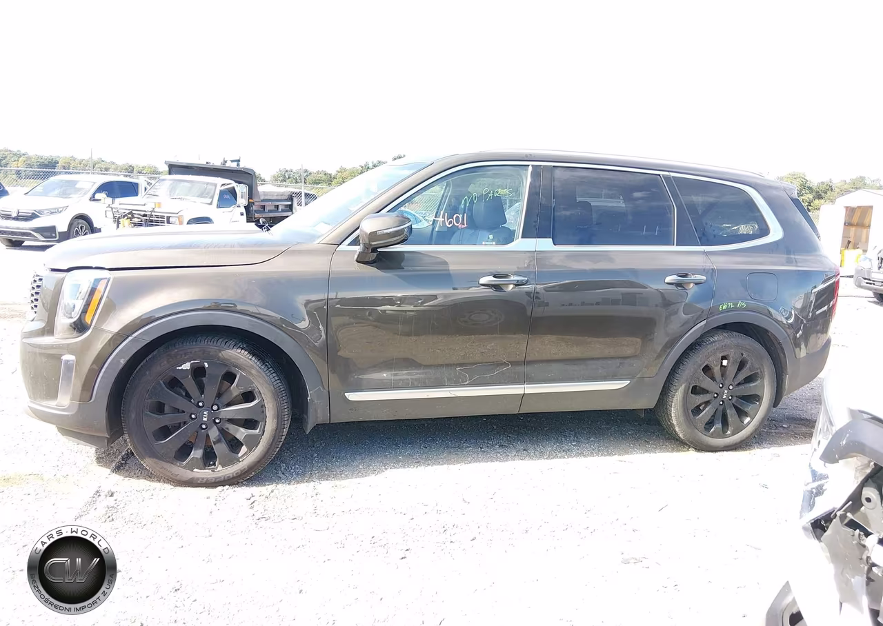 2020 Kia Telluride Sx VIN:5XYP5DHC7LG010948 - 14