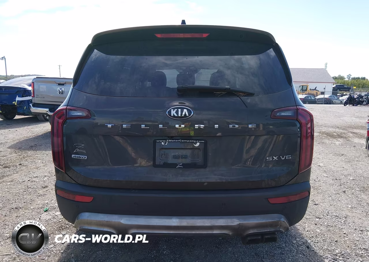 2020 Kia Telluride Sx VIN:5XYP5DHC7LG010948 - 16
